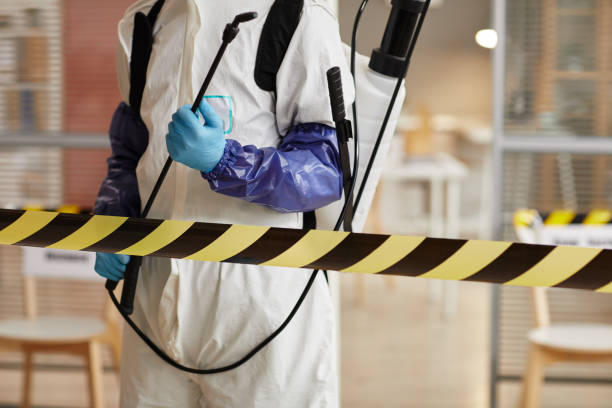 Professional Hoarding Cleanup technician working in Weirsdale, FL